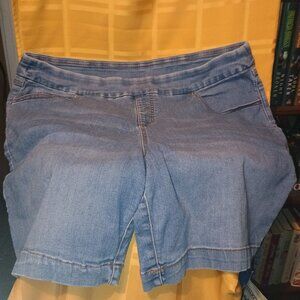 Terra & Sky Denim Shorts, 1X(16W-18W)